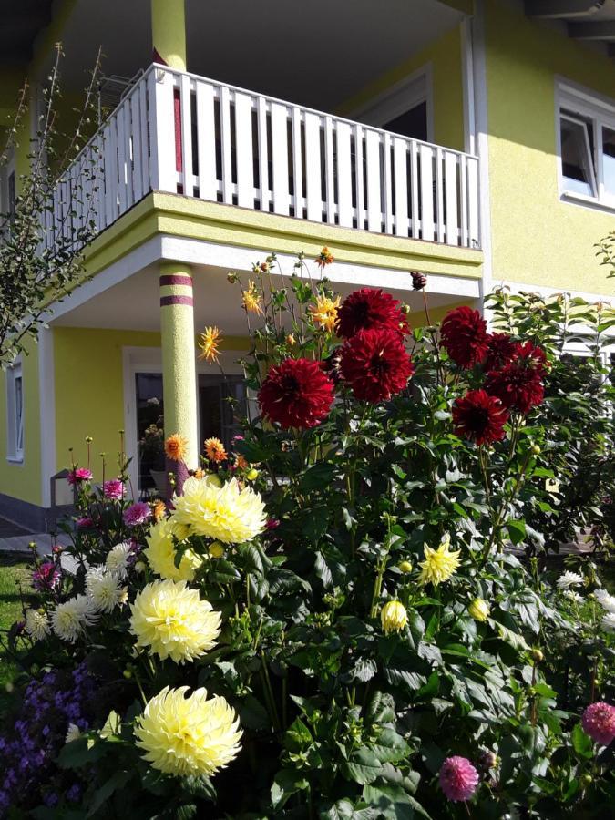 Apartments Steger ฟาคอัมซี ภายนอก รูปภาพ